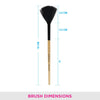 Vega Fan Brush EV-11