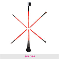 Vega Makeup Brushes MBS-06 Set Of 6