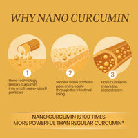 Vlado's Himalayan Organics Curcumin 1600 mg Capsules with Piperine – 60 Capsules