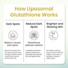 Vlado's Himalayan Organics Liposomal Glutathione 650 mg Capsules with NAC, Vitamin C & B12 – 30 Veg Capsules