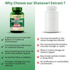 Vlado's Himalayan Organics Shatavari Extract 600 mg Capsules for Women – 60 Veg Capsules