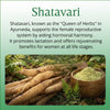 Vlado's Himalayan Organics Shatavari Extract 600 mg Capsules for Women – 60 Veg Capsules