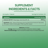 Vlado's Himalayan Organics Shatavari Extract 600 mg Capsules for Women – 60 Veg Capsules