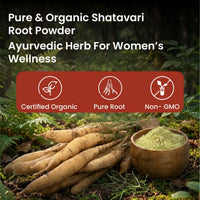 Vlado's Himalayan Organics Shatavari Powder 100 g – Herbal Supplement