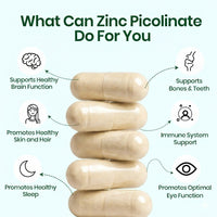 Vlado's Himalayan Organics Zinc Picolinate with Vitamin C & Copper Capsules – 120 Capsules
