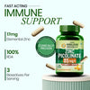 Vlado's Himalayan Organics Zinc Picolinate with Vitamin C & Copper Capsules – 120 Capsules