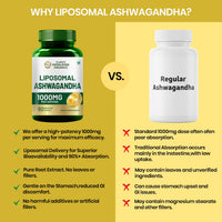 Vlado's Himalayan Organics Liposomal Ashwagandha 1000mg/Serve || Energy & Endurance || 60 Veg Capsules - 5