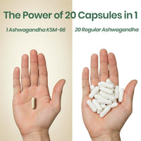 Vlado's Himalayan Organics KSM - 66 Ashwagandha 1000Mg I KSM-66 I Boost Energy, Strength, Stamina - 12