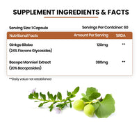 Vlado's Himalayan Organics Ginkgo Biloba for Healthy Brain Functions | 500Mg | 60 Veg Capsules - 3