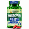 Vlado’s Himalayan Organics Glucosamine Chondroitin MSM Tablets | Cartilage & Joint Support Supplement | Glucosamine for Joint Relieves Pain and Stiffness | Added Collagen peptides, Curcuma, Vitamin D & Boswellia - Pure Veg Formula - 120 Vegetarian Tablets - 1