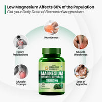 Vlado's Himalayan Organics Magnesium Complex Supplement - 120 Veg Tablets - 6