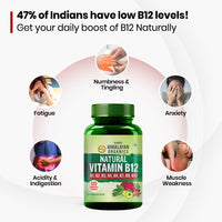 Vlado's Himalayan Organics Plant Based Vitamin B12 Natural - 3