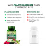 Vlado's Himalayan Organics Plant Based Vitamin B12 Natural - 4