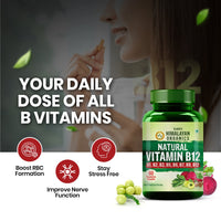 Vlado's Himalayan Organics Plant Based Vitamin B12 Natural - 6
