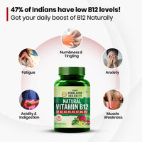 Vlado's Himalayan Organics Plant Based Vitamin B12 Natural - 3