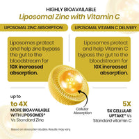 Vlado's Himalayan Organics Liposomal Zinc With Vitamin C Supplement | Digestive Health | Improve Iron Absorption | Double Antioxidant & Immune Support -120 Veg Capsules - 4