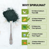 Vlado's Himalayan Organics Spirulina - 2000mg - 120 Veg Capsules - 8