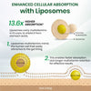 Vlado’s Himalayan Organics Liposomal Multivitamin Adult 50+ with 75+ Ingredients | Daily Health Supplement with 9+ Powerful Blends | Supports Energy, Immunity, Brain, Heart & Eye Health | 60 Veg Capsules - 11