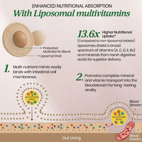 Vlado’s Himalayan Organics Liposomal Multivitamin for Women with 75+ Ingredients | Daily Women’s Health Supplement with 9+ Powerful Blends | Energy, Immunity, Hair Skin & Nails Support | 60 Vegetarian Capsules - 7
