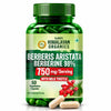Vlado's Himalayan Organics Berberis Aristata 98% Berberine with Milk Thistle - 60 Veg Capsules - 1