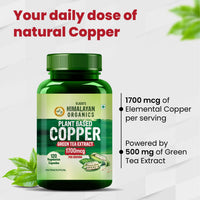 Vlado's Himalayan Organics Plant Based Copper 1700mcg with Green Tea Extract - 120 Veg Capsules - 5