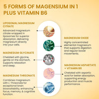 Vlado's Himalayan Organics 5X Strength Liposomal Magnesium Supplement - 2100mg+ with Chelated Magnesium Glycinate, Citrate, Oxide, Threonate, Aspartate & Triple magnesium Complex | For Sleep, Cramps, Recovery, Nerve & Muscle Function, Clinically Proven, 1 - 7
