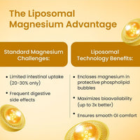 Vlado's Himalayan Organics 5X Strength Liposomal Magnesium Supplement - 2100mg+ with Chelated Magnesium Glycinate, Citrate, Oxide, Threonate, Aspartate & Triple magnesium Complex | For Sleep, Cramps, Recovery, Nerve & Muscle Function, Clinically Proven, 1 - 8