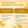 Vlado's Himalayan Organics 5X Strength Liposomal Magnesium Supplement - 2100mg+ with Chelated Magnesium Glycinate, Citrate, Oxide, Threonate, Aspartate & Triple magnesium Complex | For Sleep, Cramps, Recovery, Nerve & Muscle Function, Clinically Proven, 1 - 8
