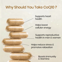 Vlado’s Himalayan Organics Coenzyme Q10 | CoQ10 Supplement 300mg 30 Capsules - 4
