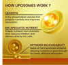 Vlado's Himalayan Organics Liposomal Curcumin Tablets (2200mg+ / Serving ) with Black Pepper ( Piperine & Bioperine ), Supplement and 95% Curcuminoids | Anti inflammatory Supplement for Men & Women | With Curcuma Longa, Turmeric & Ginger Root extract | 60 - 6