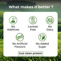 Vlado Himalayan Organics Plant Protein Powder – 28g Protein, 5g BCAA | Organic Pea Protein | Vegan, Clean, Unflavoured, 500 gm - 6