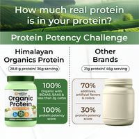 Vlado Himalayan Organics Plant Protein Powder – 28g Protein, 5g BCAA | Organic Pea Protein | Vegan, Clean, Unflavoured, 500 gm - 14