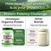 Vlado Himalayan Organics Plant Protein Powder – 28g Protein, 5g BCAA | Organic Pea Protein | Vegan, Clean, Unflavoured, 500 gm - 14