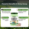 Vlado's Himalayan Organics Organic Pea Protein Powder Unflavoured | 28g Protein | 5g BCAA | Vegan Plant-Based Protein for Muscle Recovery 600 Grams - 5