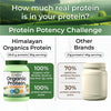 Vlado's Himalayan Organics Organic Pea Protein Powder Unflavoured | 28g Protein | 5g BCAA | Vegan Plant-Based Protein for Muscle Recovery 600 Grams - 9