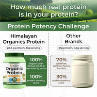 Vlado's Himalayan Organics Organic Pea Protein Powder Unflavoured | 28g Protein | 5g BCAA | Vegan Plant-Based Protein for Muscle Recovery 600 Grams - 9