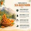 Vlado's Himalayan Organics Sea Buckthorn Tablets | Omega Fatty Acids | Sea Buckthorn 60 Tablets - 5