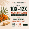 Vlado's Himalayan Organics Sea Buckthorn Tablets | Omega Fatty Acids | Sea Buckthorn 60 Tablets - 7