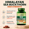 Vlado's Himalayan Organics Sea Buckthorn Tablets | Omega Fatty Acids | Sea Buckthorn 60 Tablets - 8