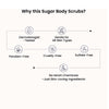 WildOak Tropical Rainforest Sugar Body Scrub | 300gm