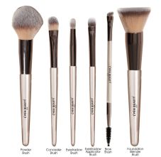 Lyon Beauty USA PROFESSIONAL FACE & EYE BRUSH SET 100 gm