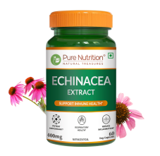 Pure Nutrition Echinacea Purpurea Extract 400Mg - 60 Capsules | Herbal Immune Support